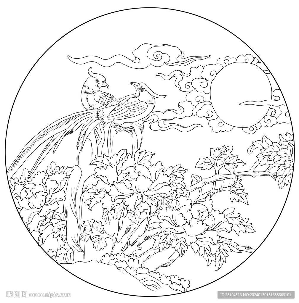 牡丹 