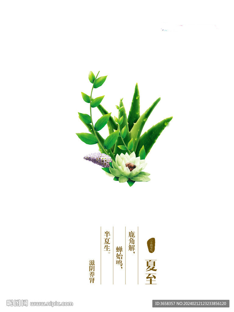 節(jié)氣海報