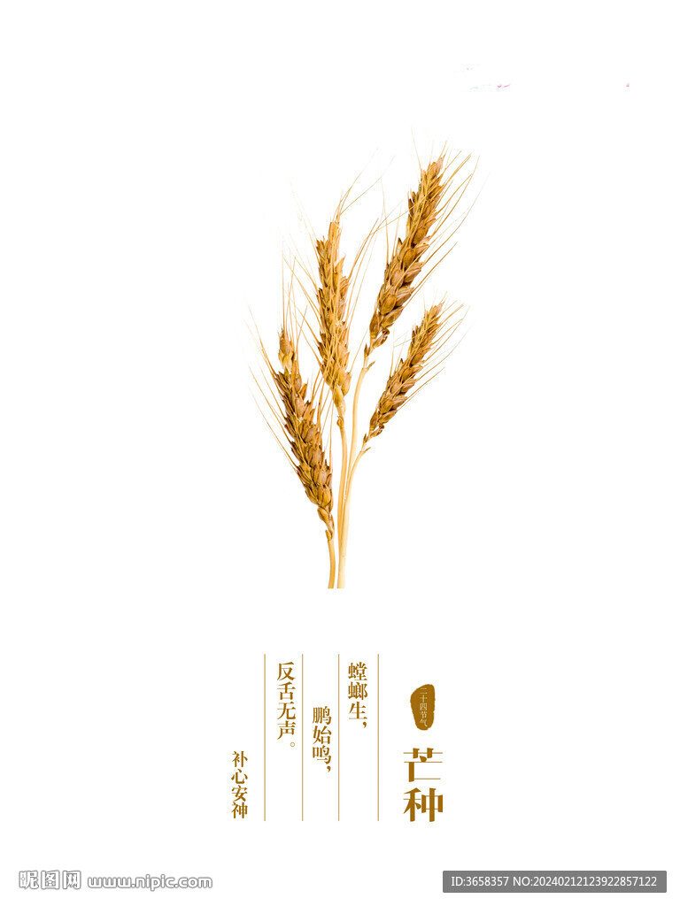節(jié)氣海報(bào)