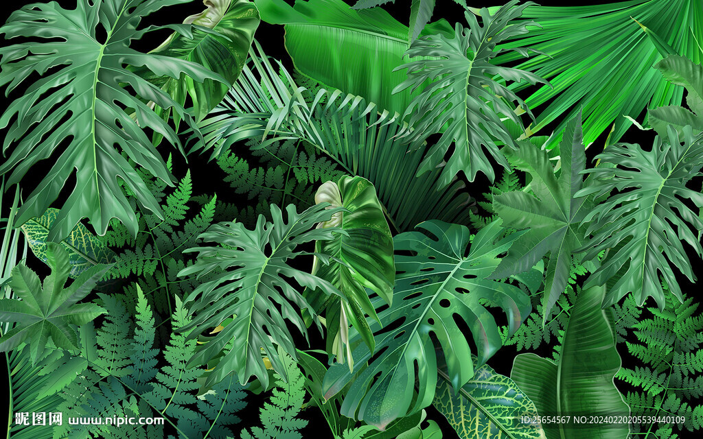 绿色树叶热带植物龟背叶子背景墙