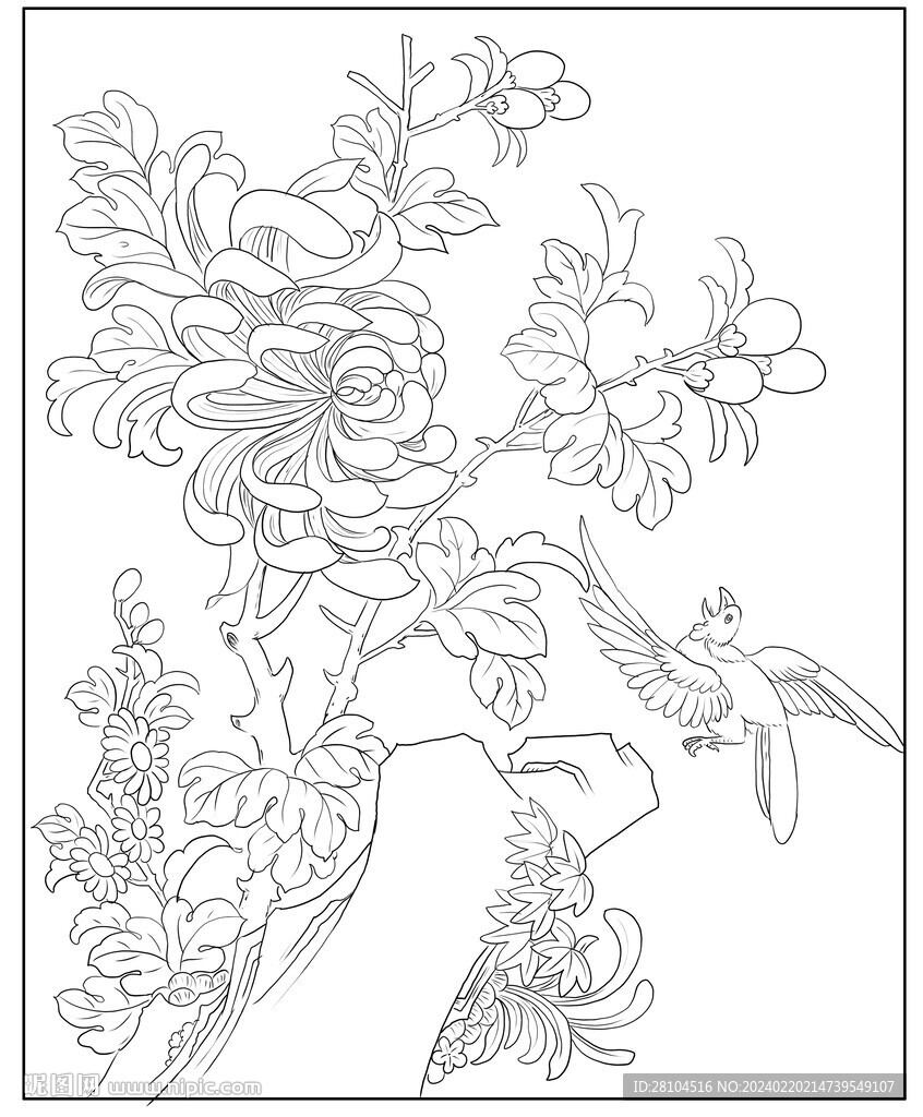 菊花