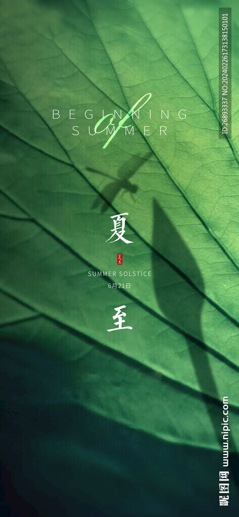 夏至荷花微信單圖