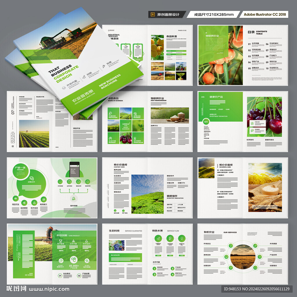 農(nóng)產(chǎn)品宣傳冊