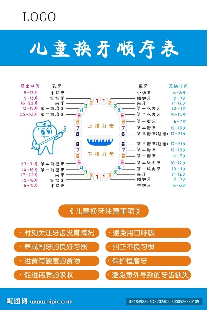 兒童換牙時間