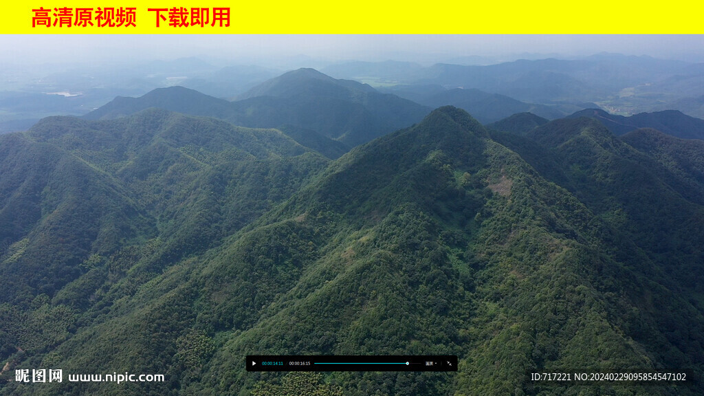 森林大山