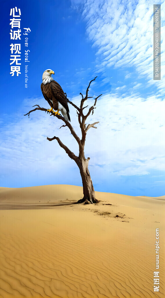 沙漠胡楊