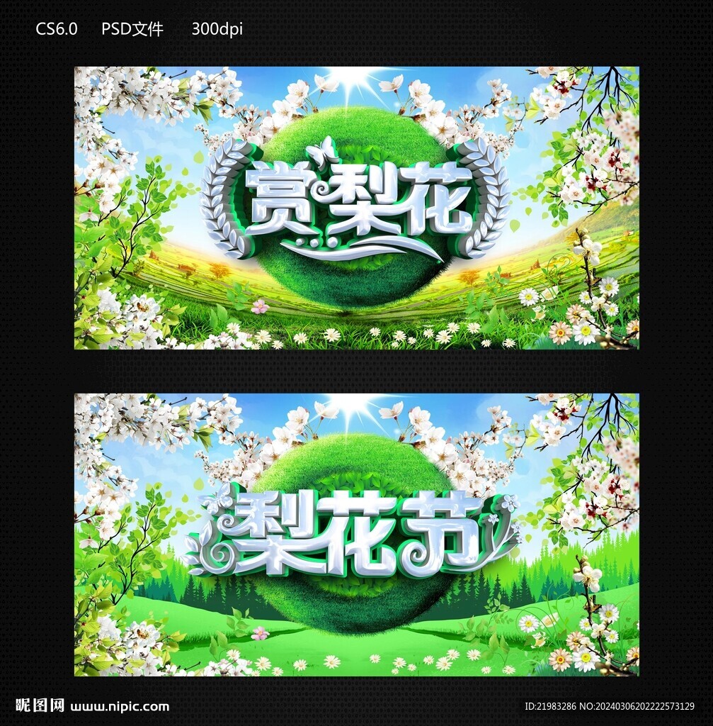 梨花節