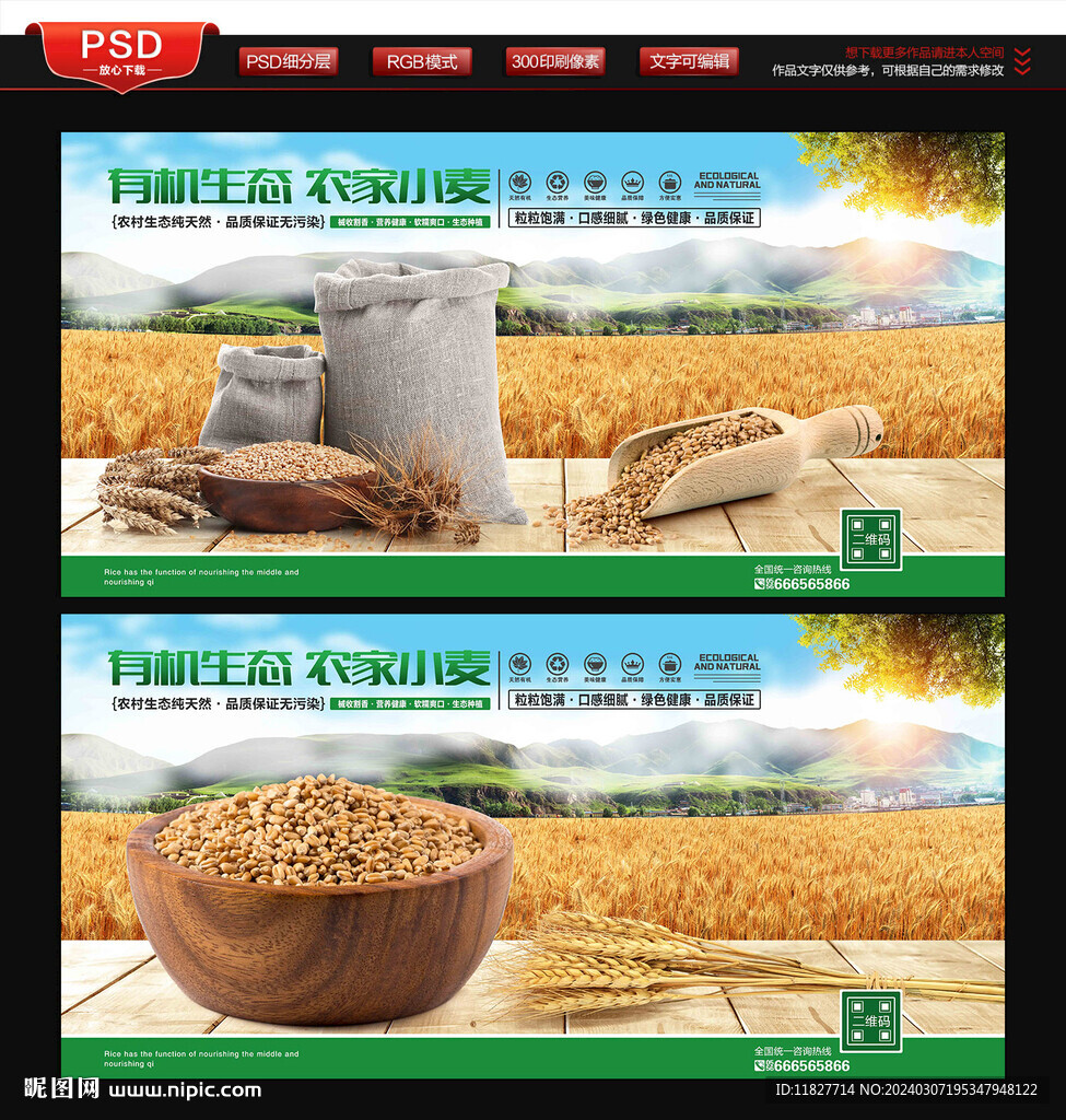 小麥