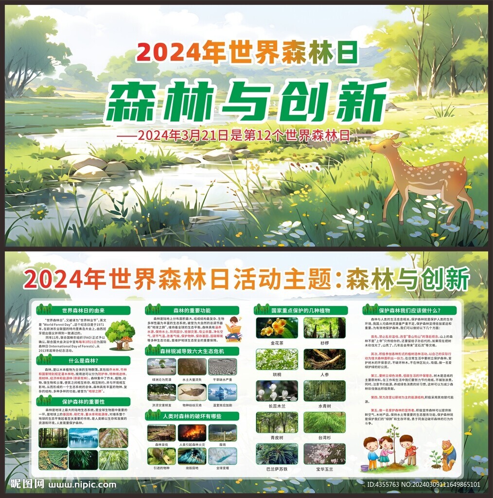 2024世界森林日知識宣傳欄