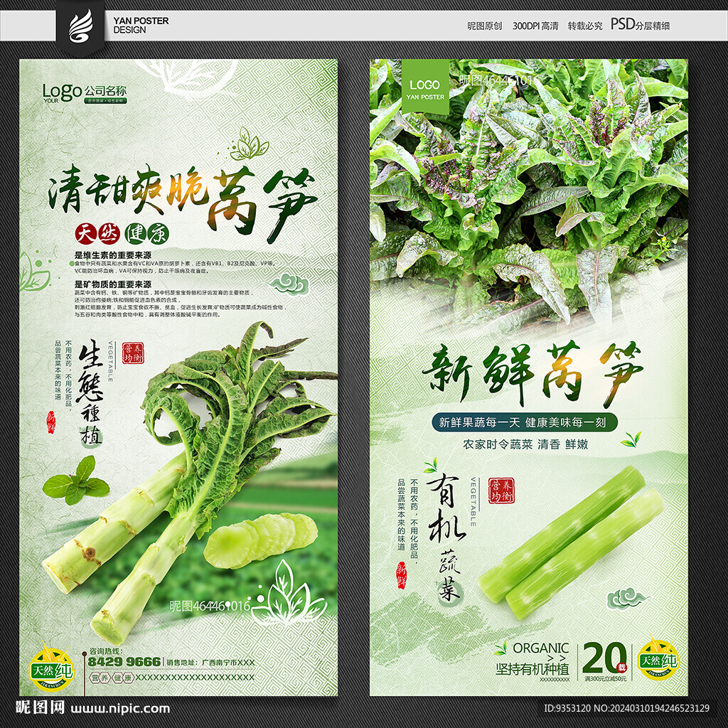萵筍 萵苣