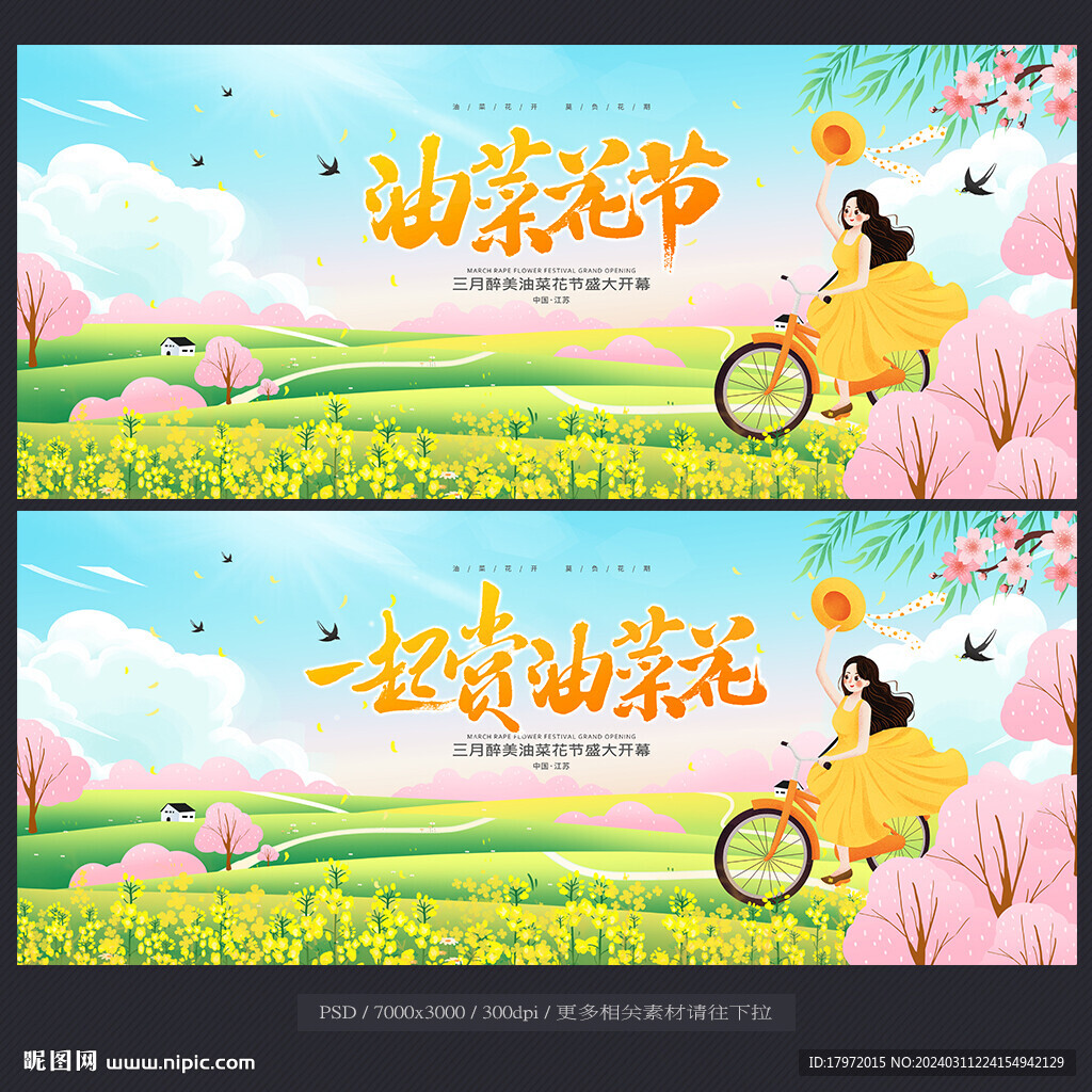 油菜花節