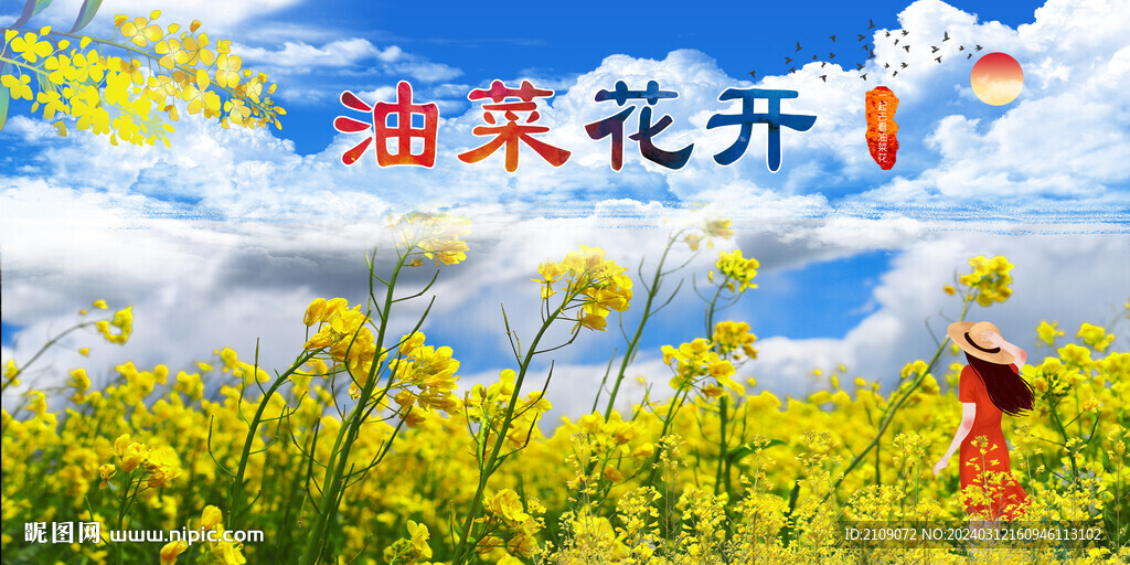 油菜花  