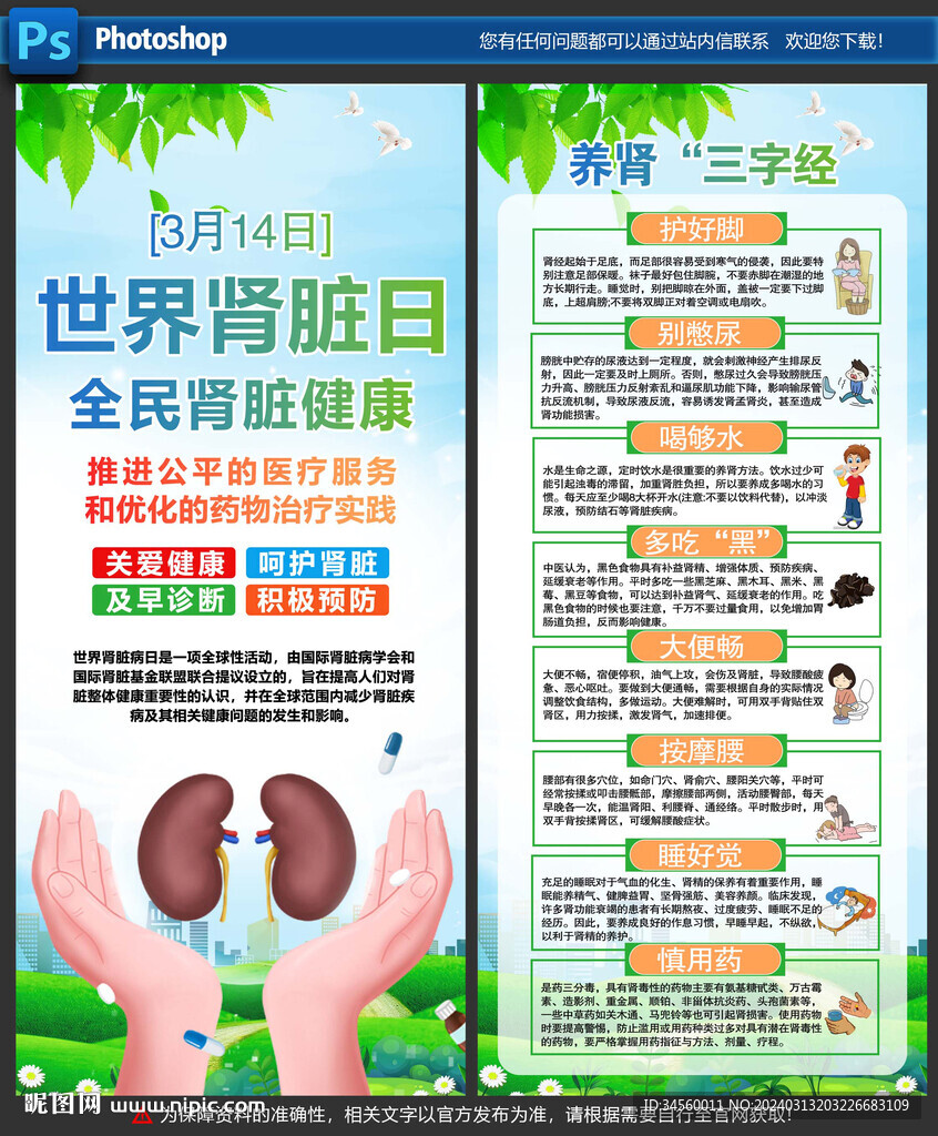 腎臟日展架
