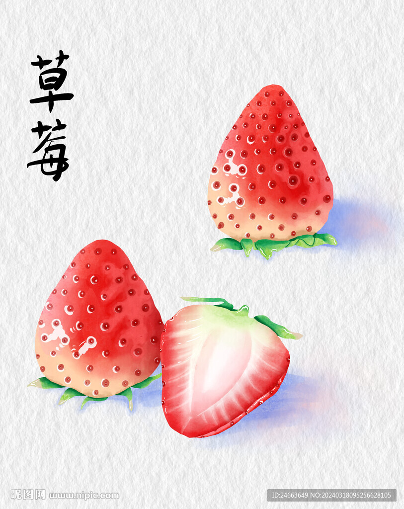 草莓插畫