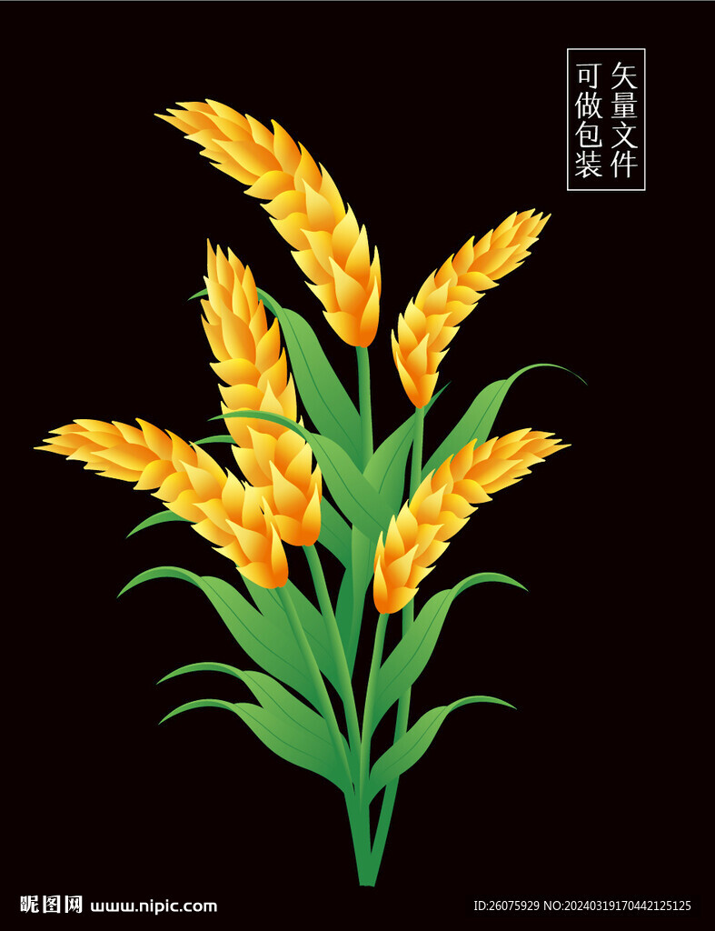 手繪麥穗