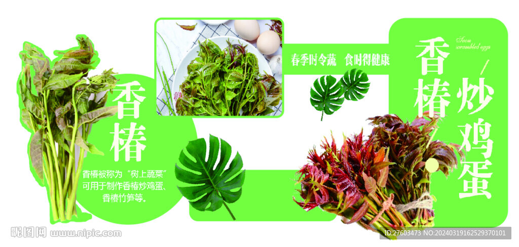 香椿菜