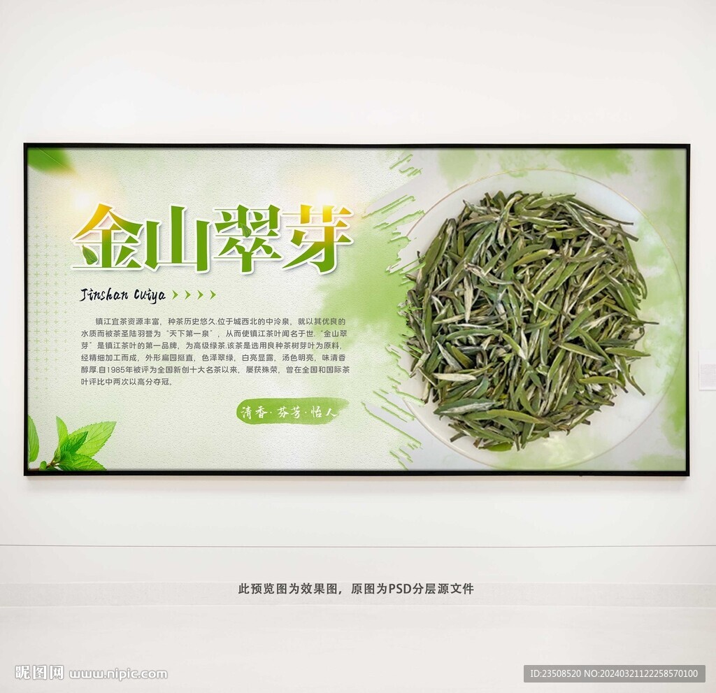金山翠芽茶葉展板