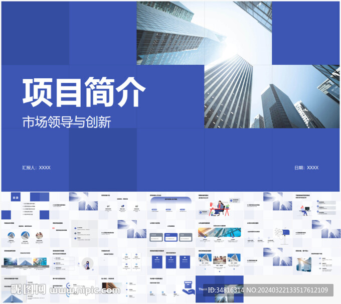 項(xiàng)目簡(jiǎn)介PPT