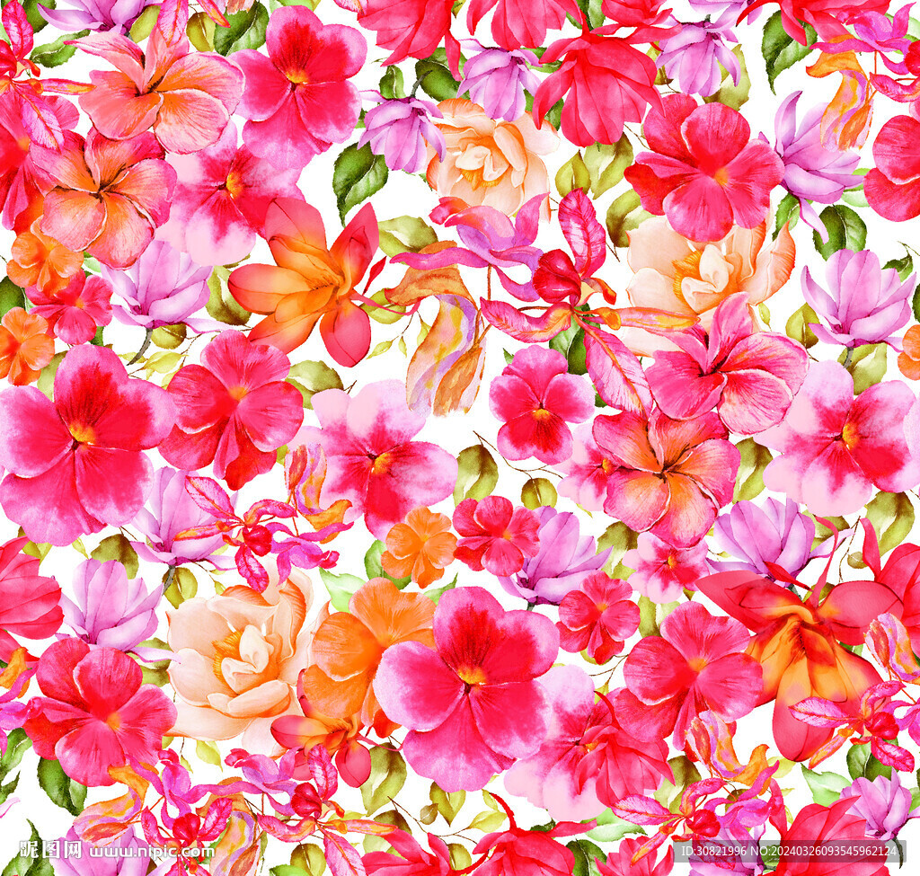茶花