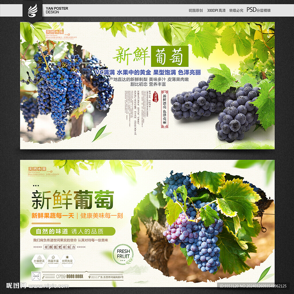 葡萄