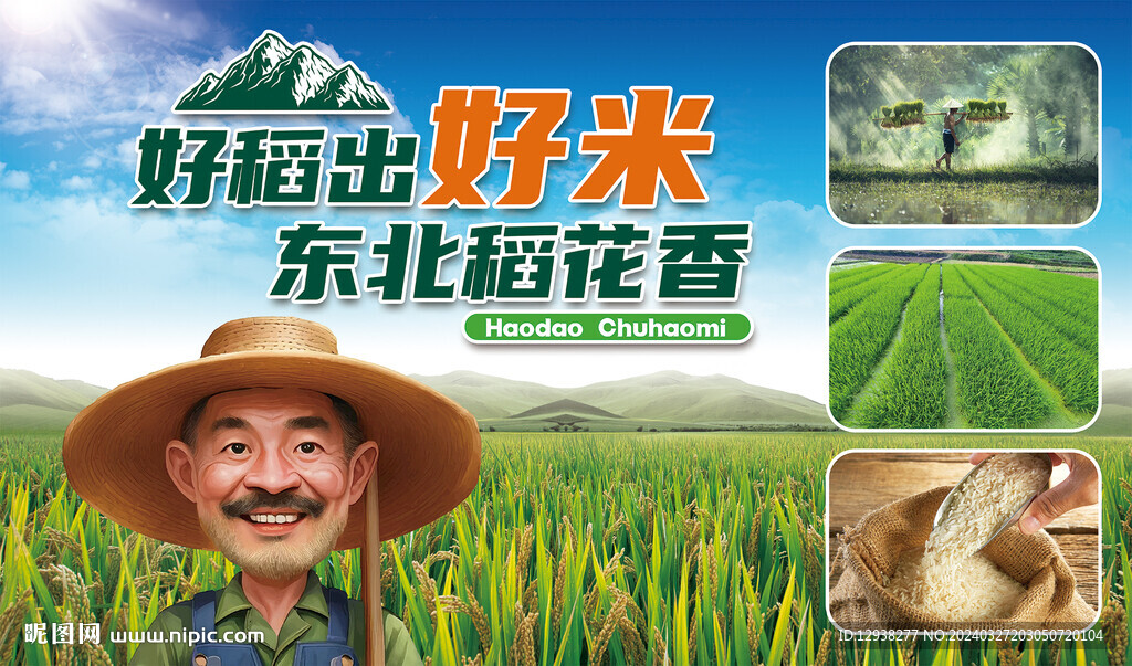 大米水稻广告