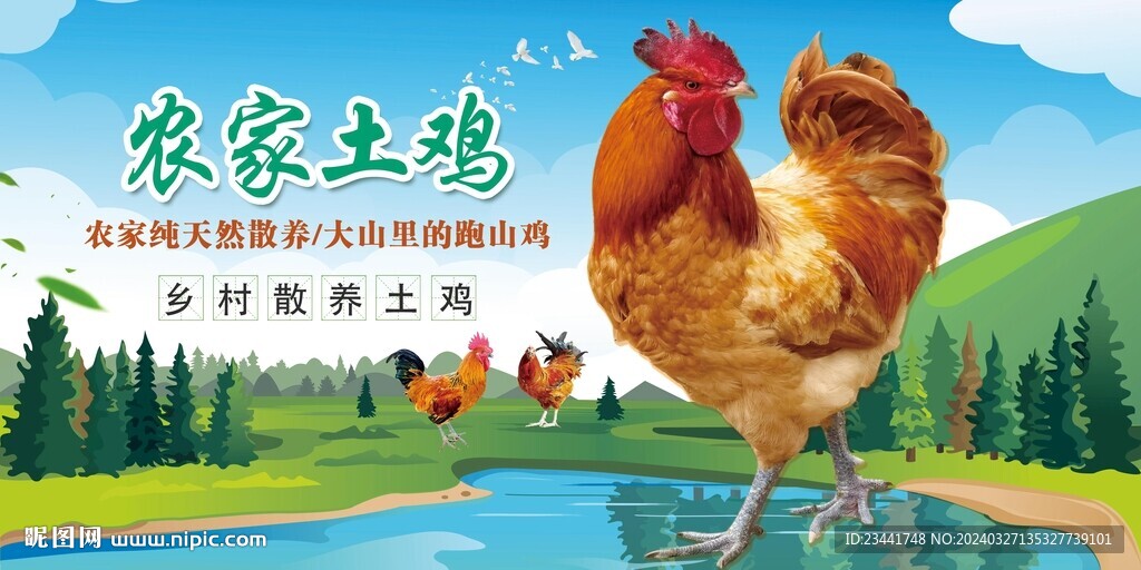 農家土雞  