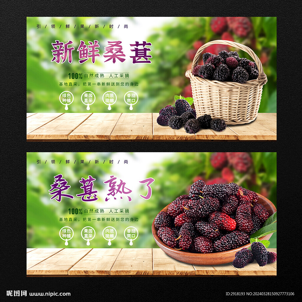 桑葚