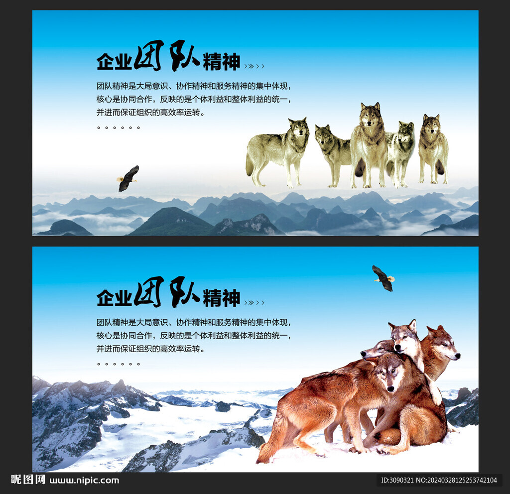 企業(yè)團隊抱團取暖狼文化