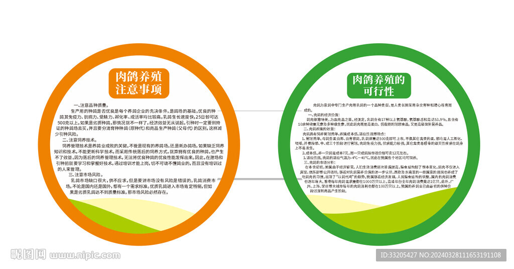 肉鴿養(yǎng)殖注意事項(xiàng)