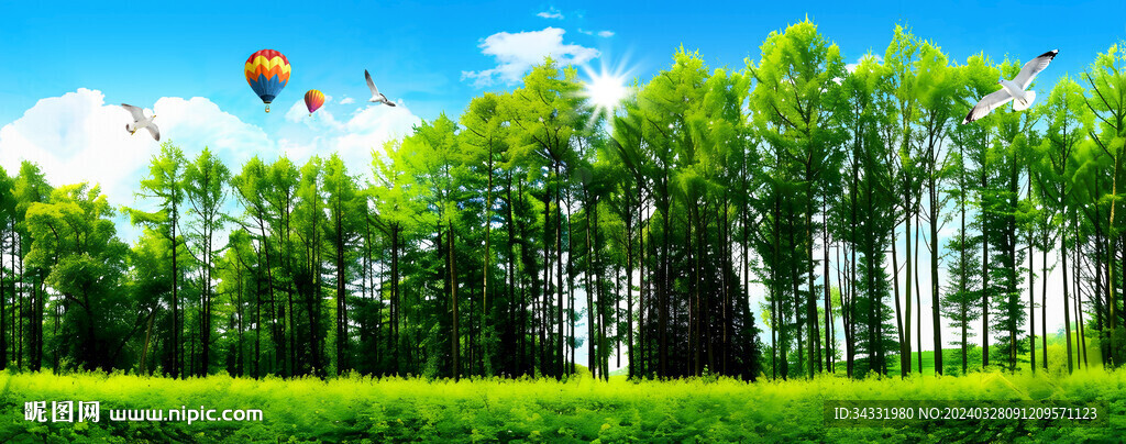 森林背景