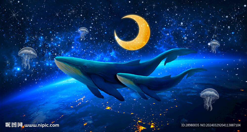 手繪鯨魚插畫