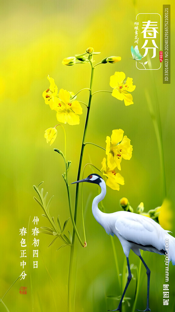 節(jié)氣