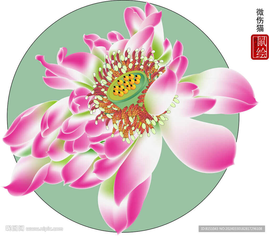 蓮花矢量圖 