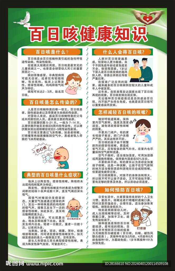 百日咳知識海報