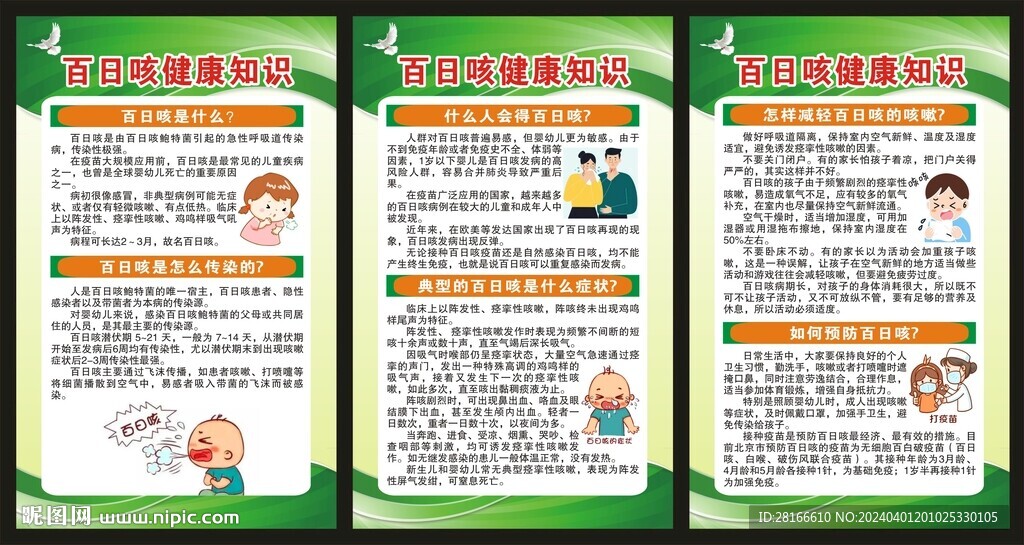 百日咳知識海報