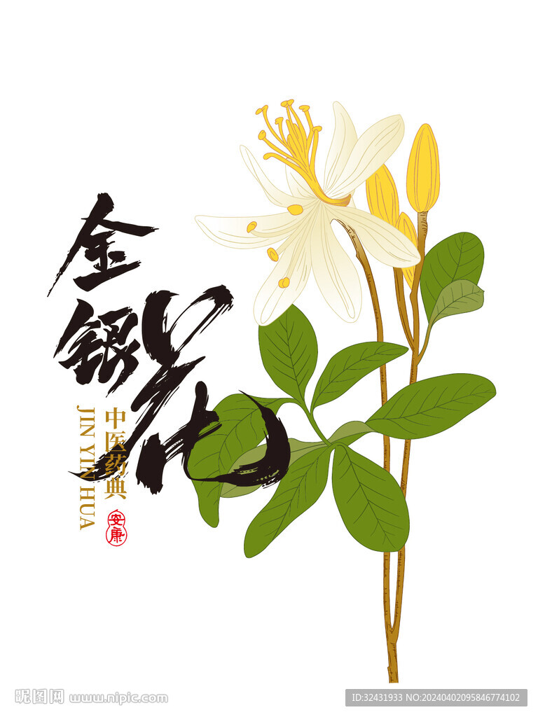 金銀花