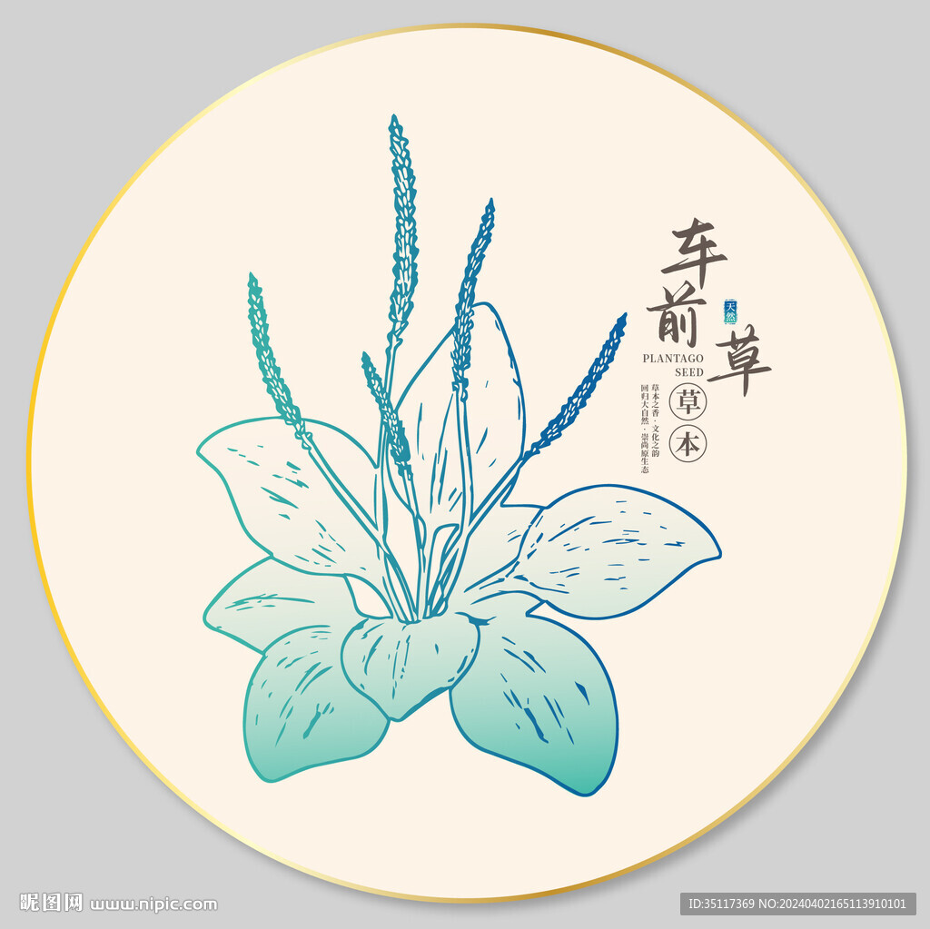 車前草