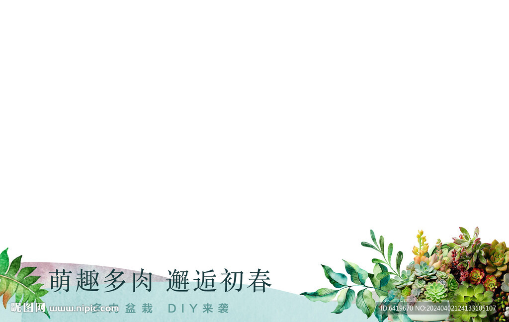 多肉活動(dòng)視頻框