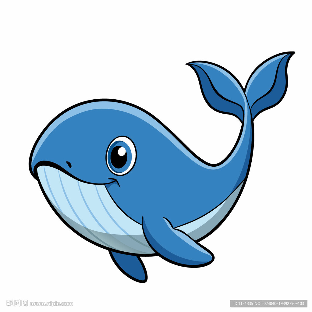 矢量动物海洋动物小鲸鱼