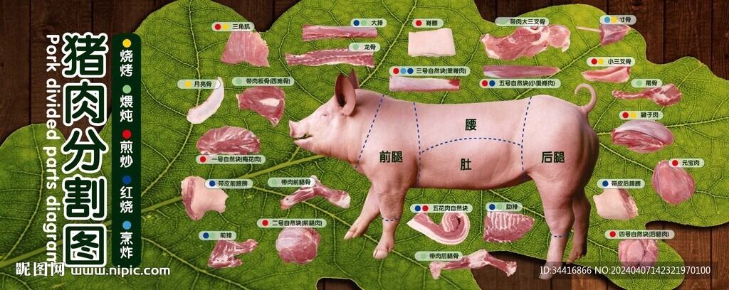豬肉分割圖