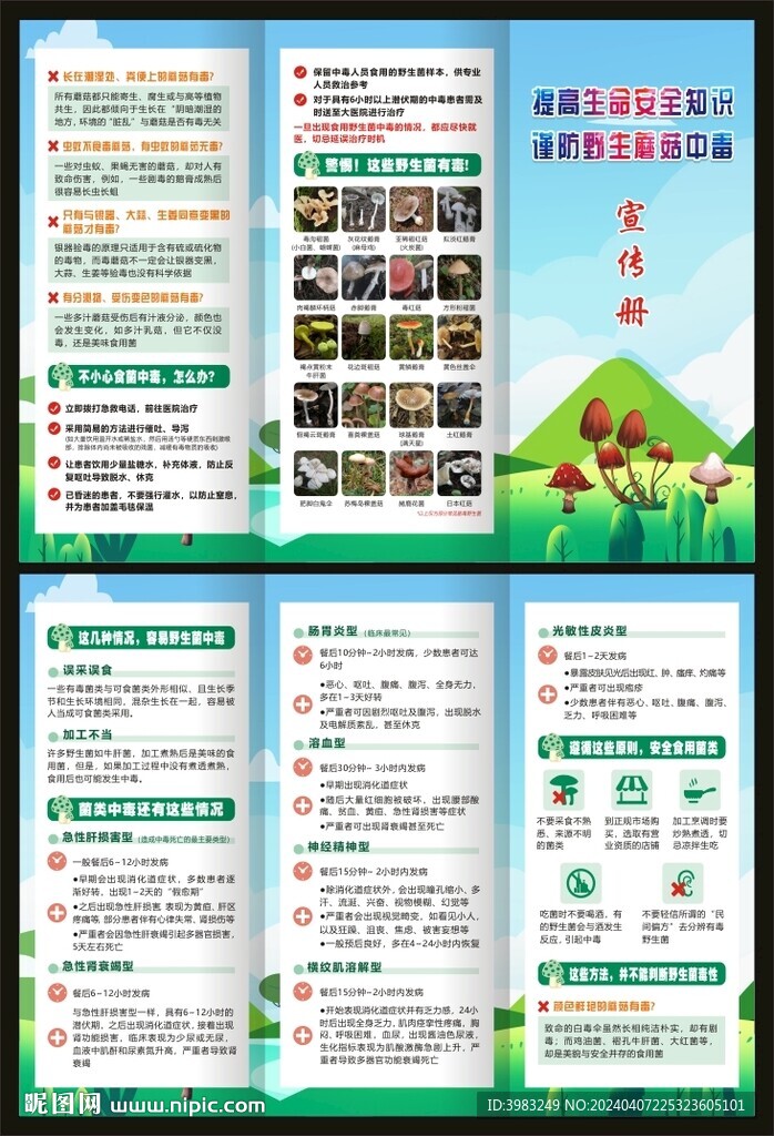 野生毒蘑菇中毒三折頁