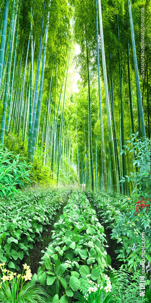 竹林蔭小道自然景觀玄關