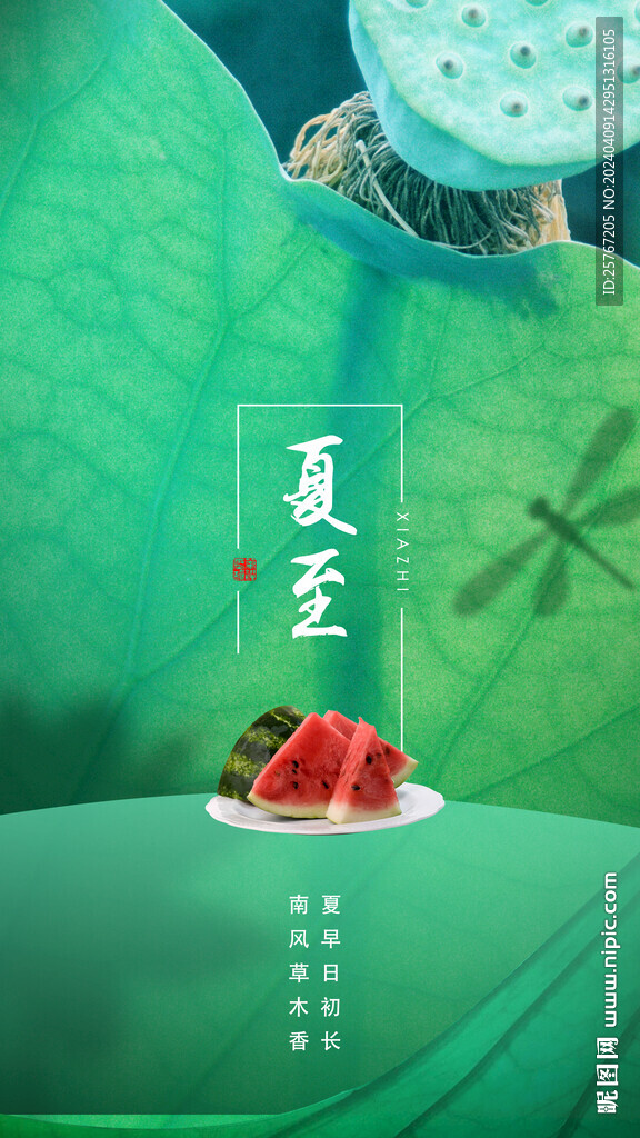 清新綠色荷花池塘夏至