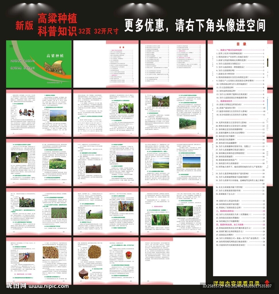 高粱種植