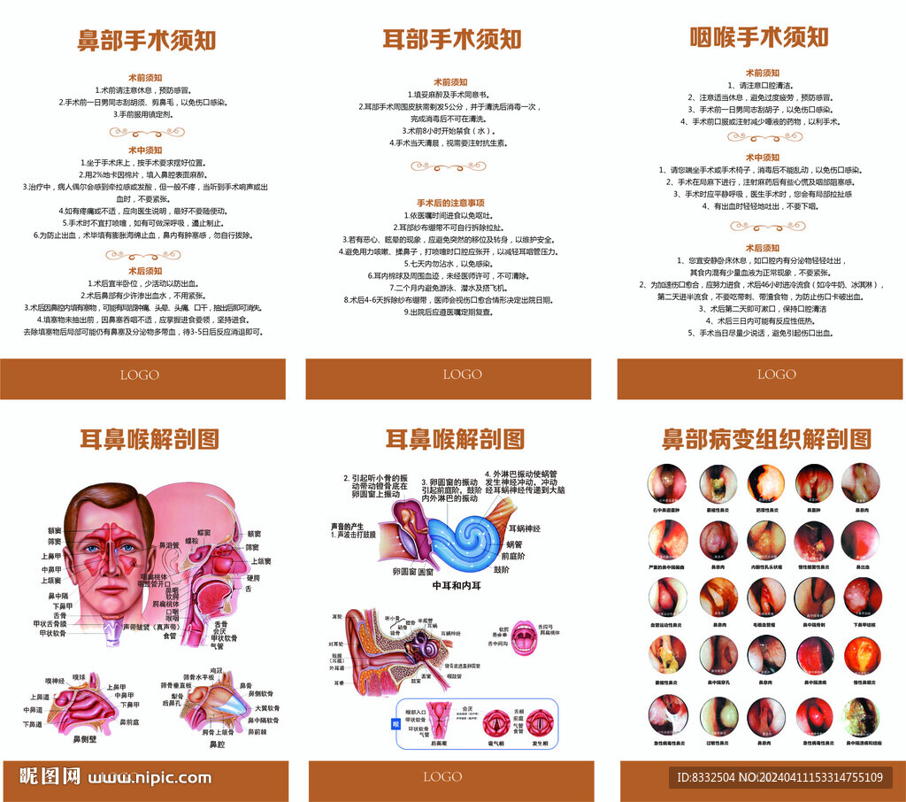 耳鼻喉科展板