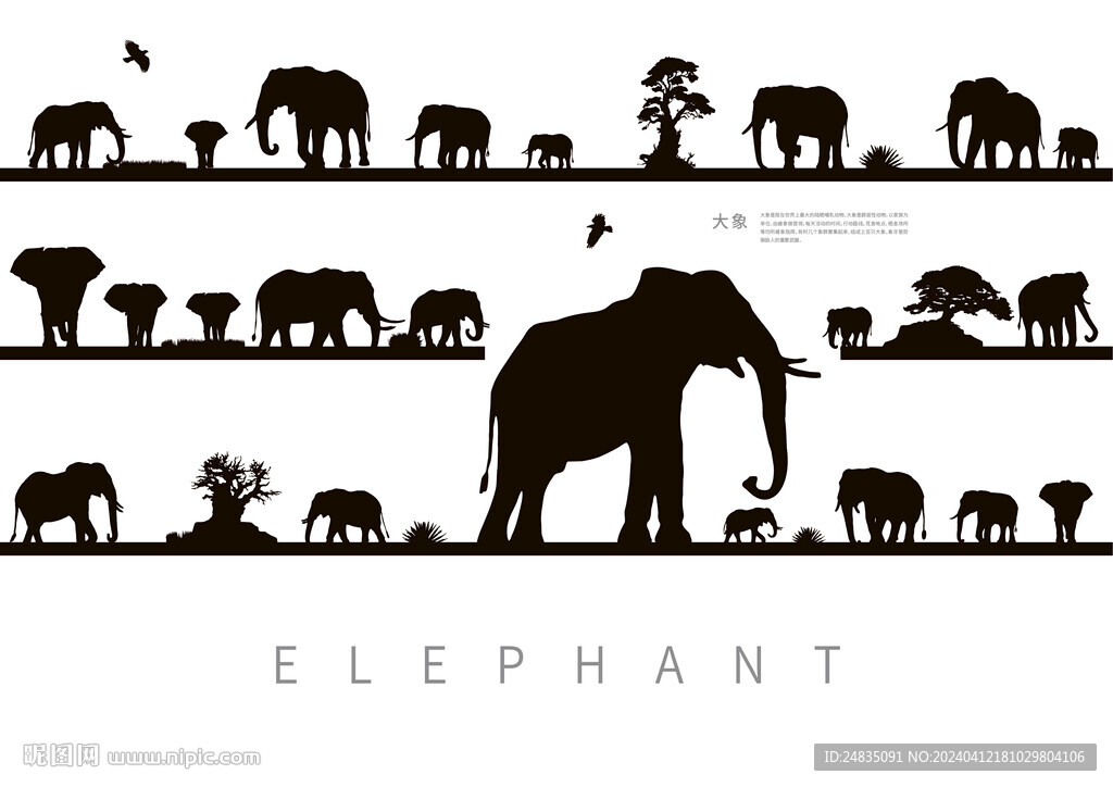 野生动物大象唯美剪影插画