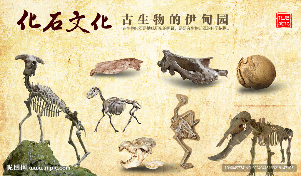 化石