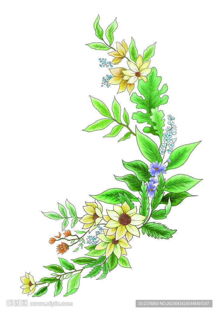 花卉設計