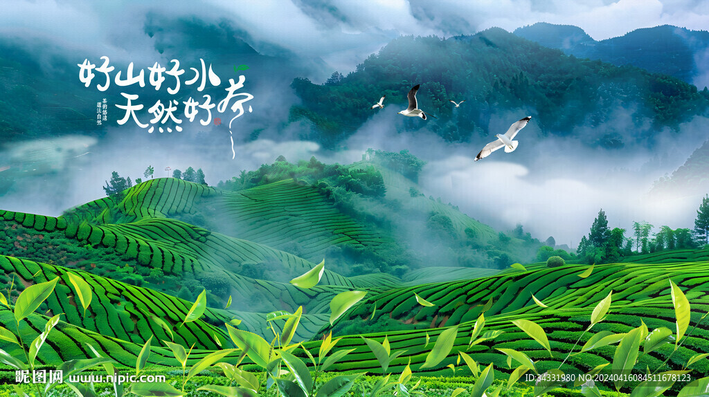 高山茶園