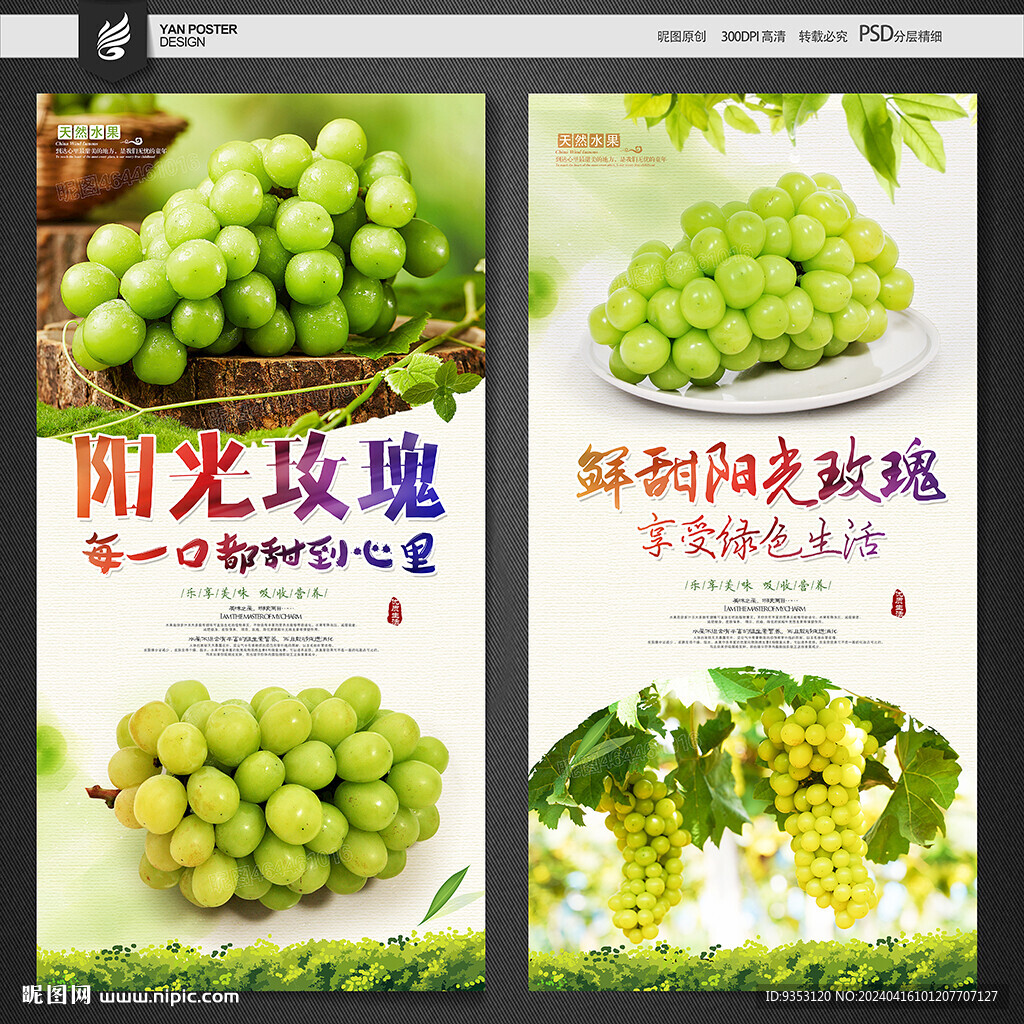 陽光玫瑰